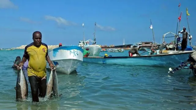يظهر رجل يرتدي قميصاً أصفر وهو يخوض في الماء حاملاً أربع سمكات كبيرة، فيما تظهر خلفه قوارب صيد ومياه المحيط.