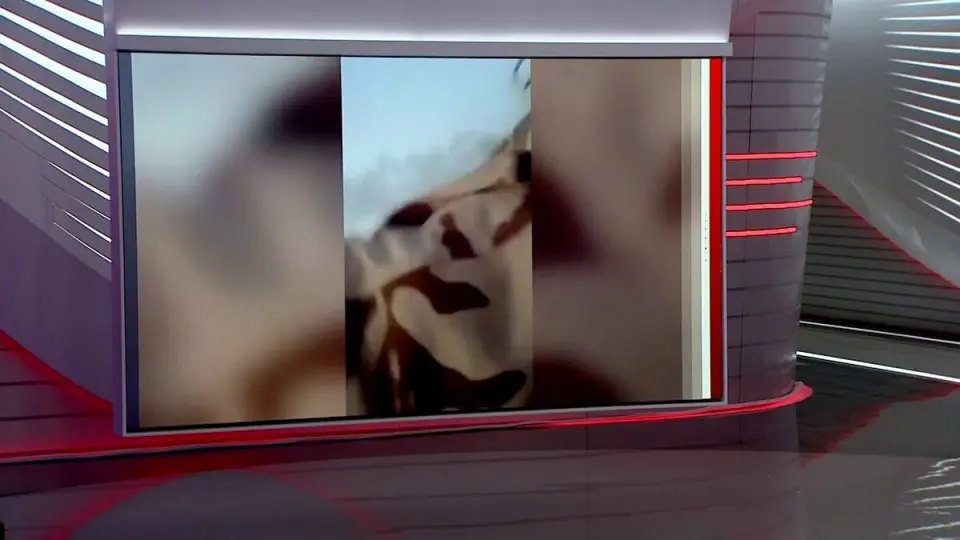 تشاد تغلق حدودها مع السودان عقب مقتل نجل زعيم عشيرة المحاميد