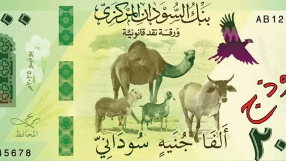 حكومة السودان تحسم الجدل بشأن الحصول على وديعة خارجية